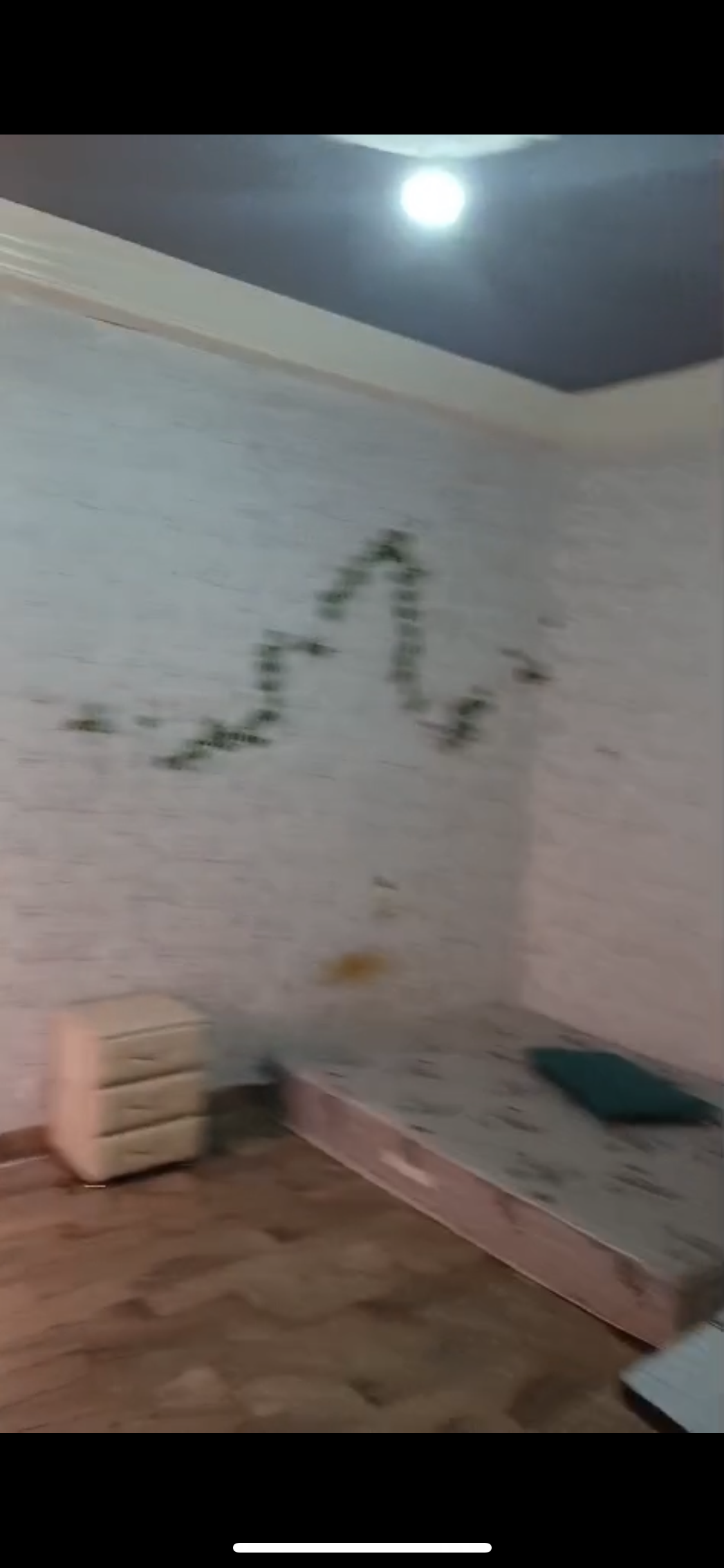 CHAMBRE DISPONIBLE - SANS FRAIS D'AGENCE