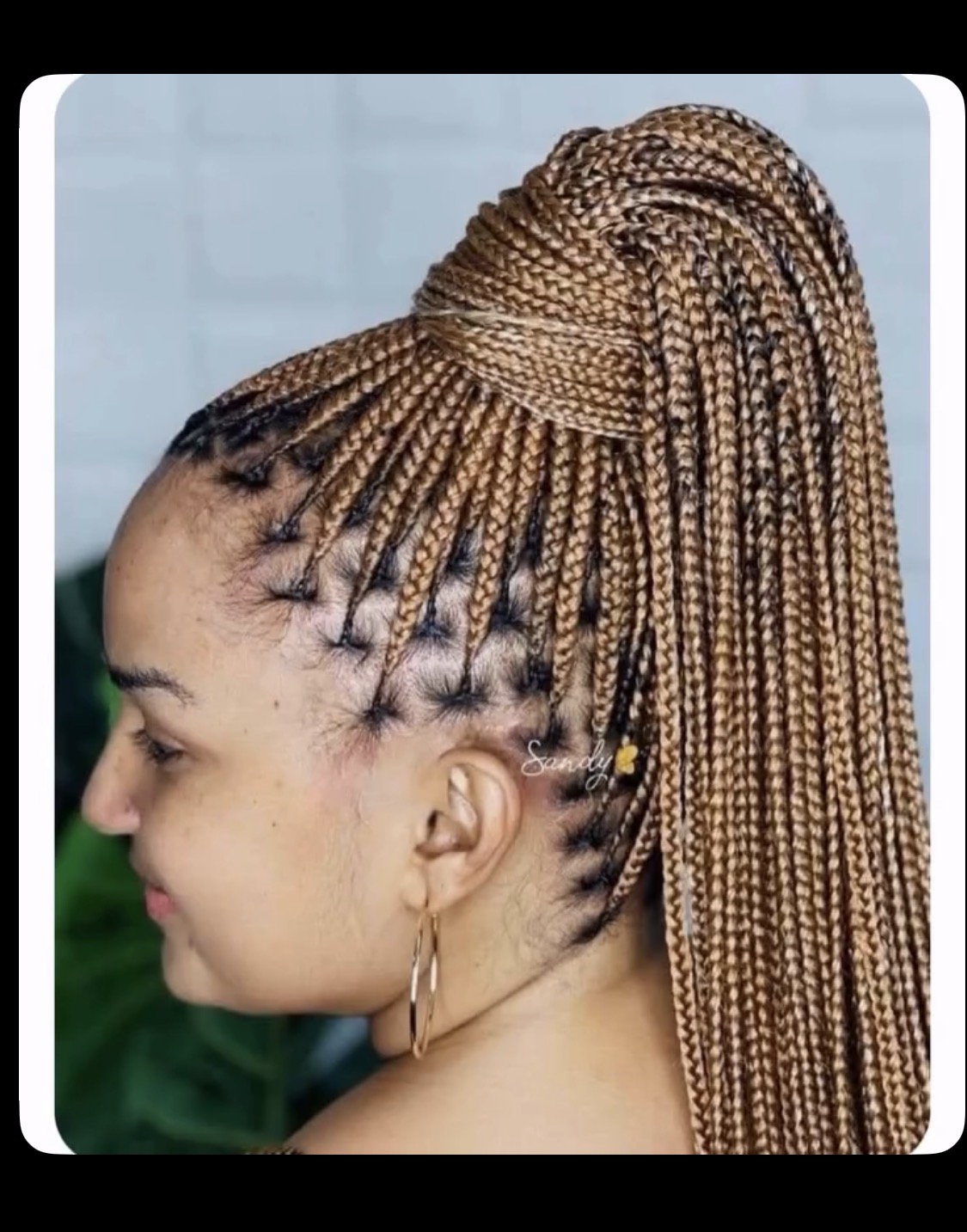 Tresses Afro pour Femme - image 4