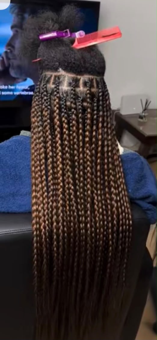 Rasta - image 3